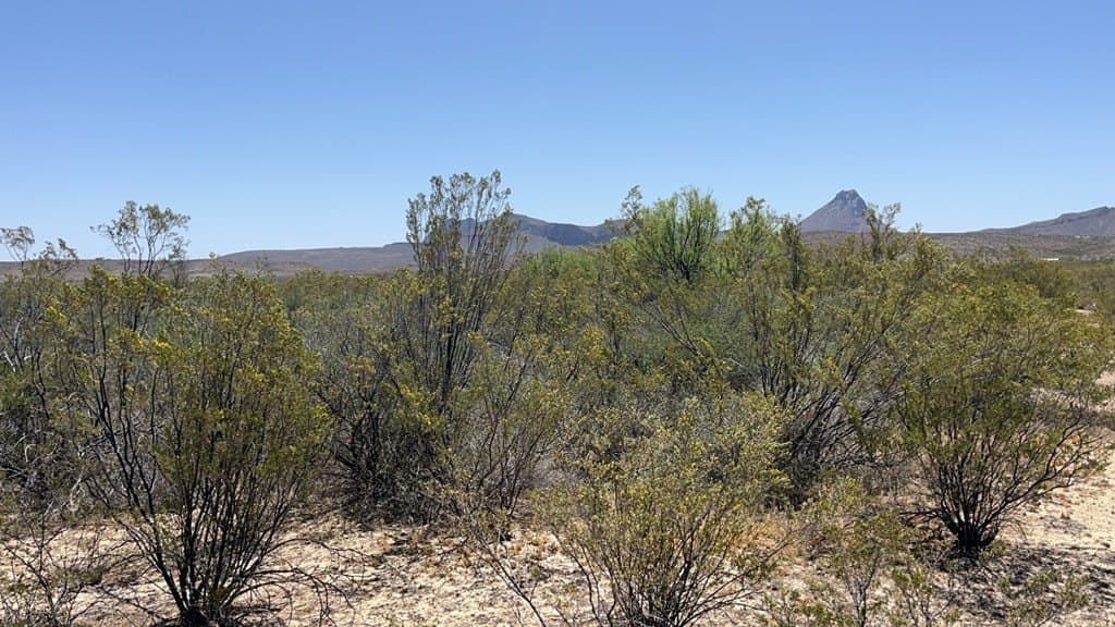 5 acres in Brewster County - photo 7