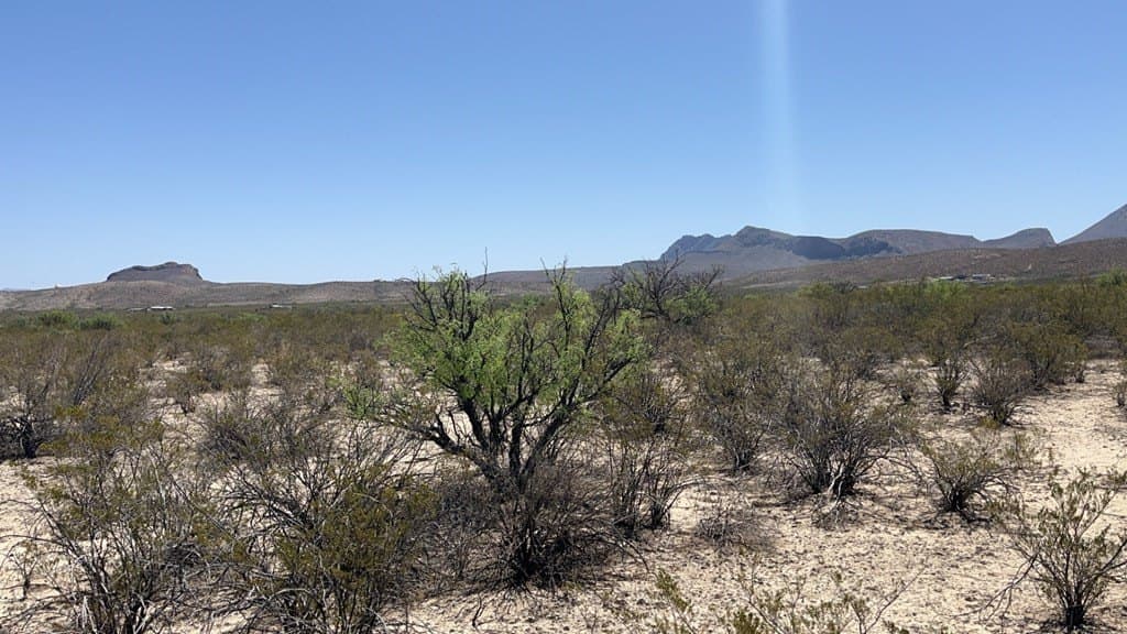 5 acres in Brewster County - photo 8