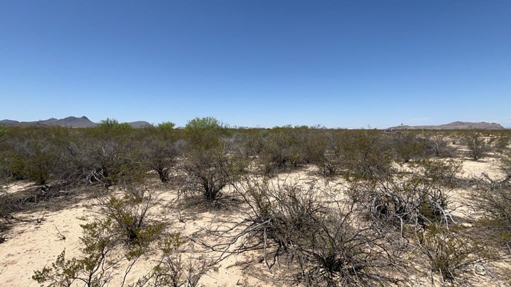 5 acres in Brewster County - photo 10