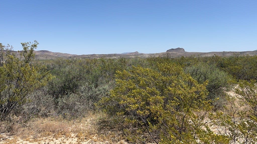 5 acres in Brewster County - photo 2