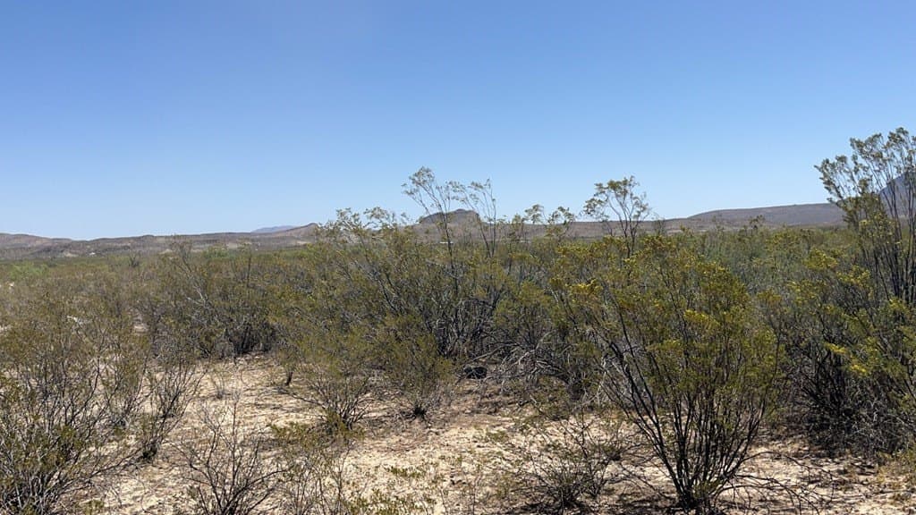 5 acres in Brewster County - photo 4