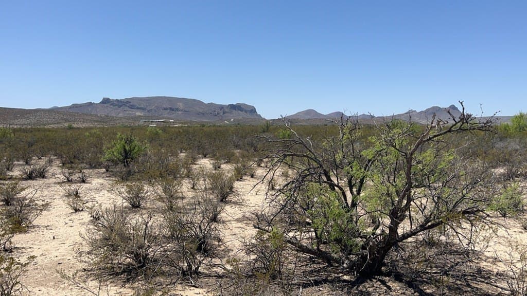 5 acres in Brewster County - photo 17