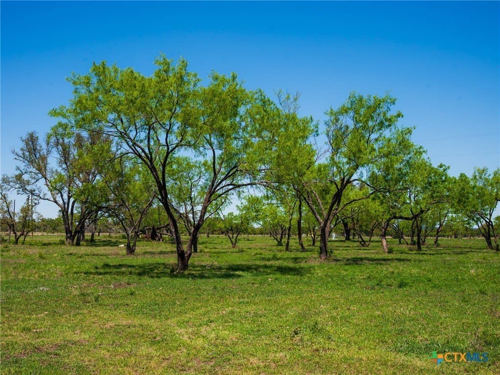 6.62 acres in Blanco County - photo 15