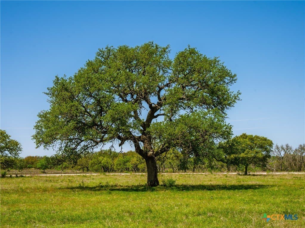 6.62 acres in Blanco County - photo 19