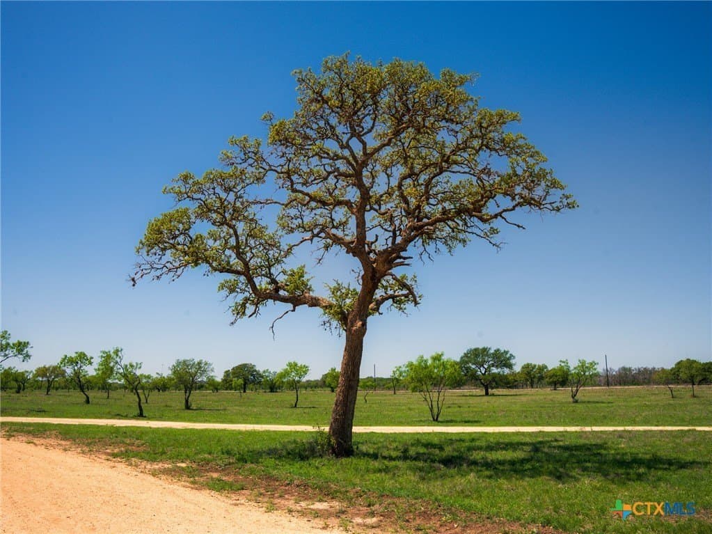 6.62 acres in Blanco County - photo 18