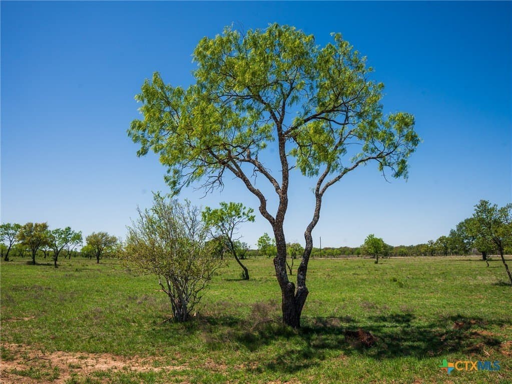 6.62 acres in Blanco County - photo 4