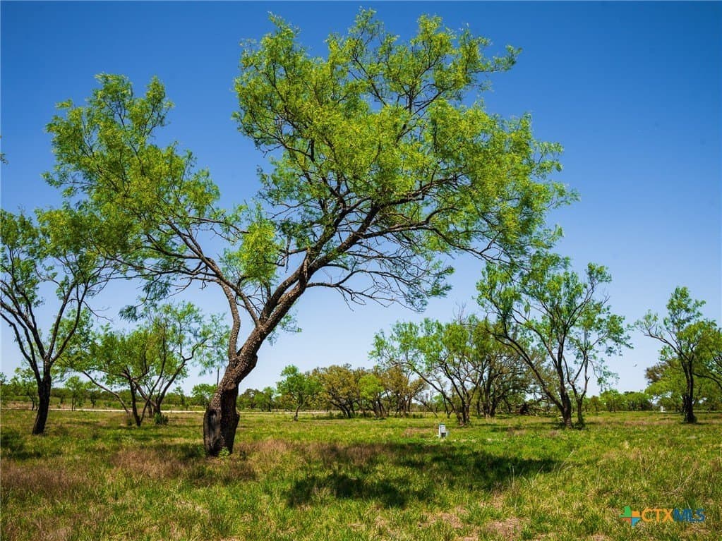 6.62 acres in Blanco County - photo 16
