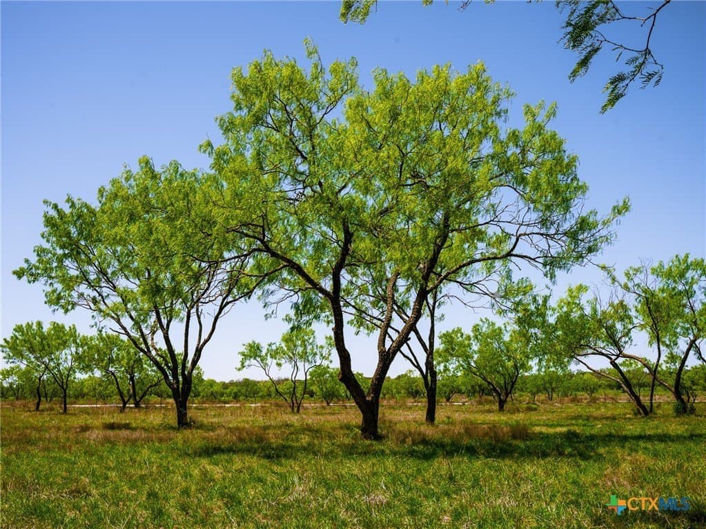 6.62 acres in Blanco County - photo 2