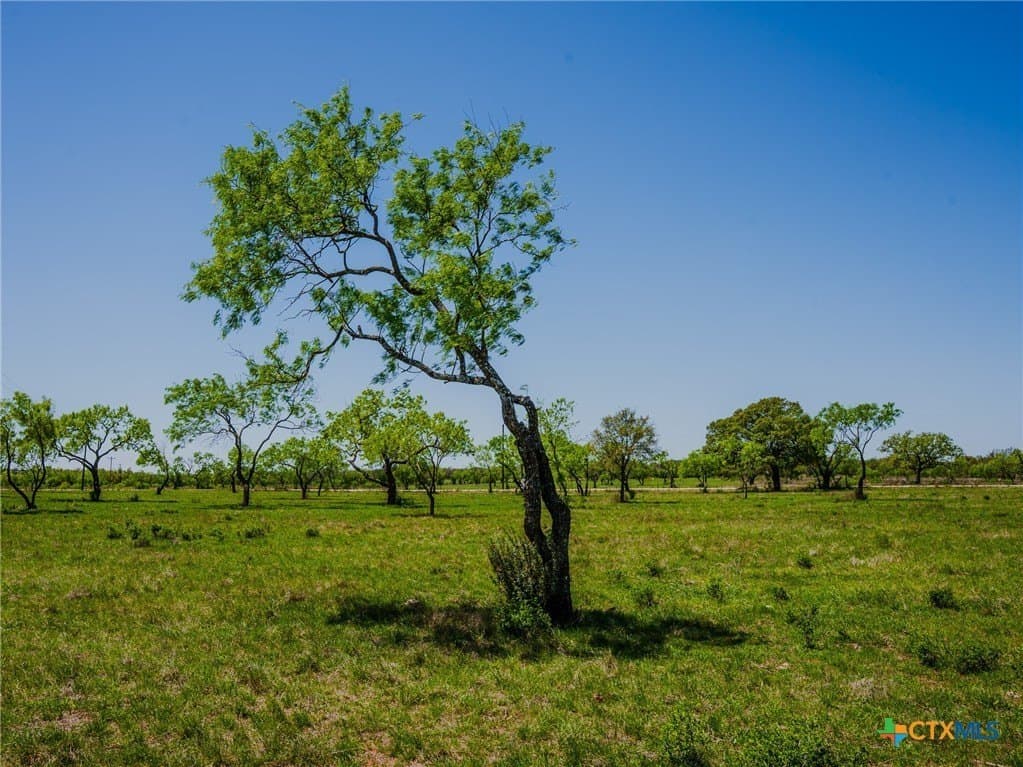 6.62 acres in Blanco County - photo 11