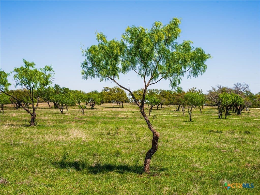 6.62 acres in Blanco County - photo 7