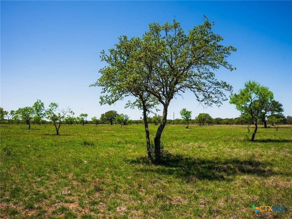 6.62 acres in Blanco County - photo 6