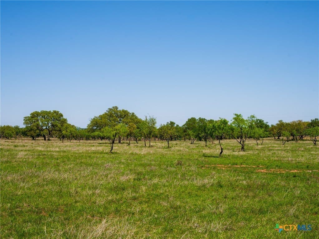 6.62 acres in Blanco County - photo 9