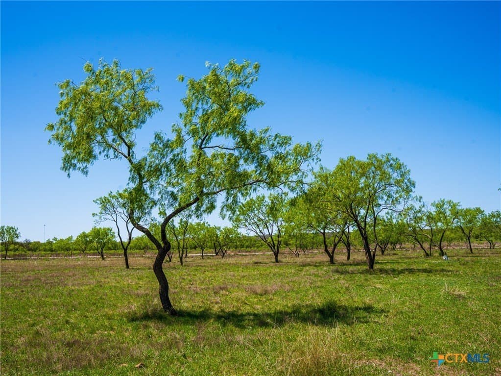 6.62 acres in Blanco County - photo 14