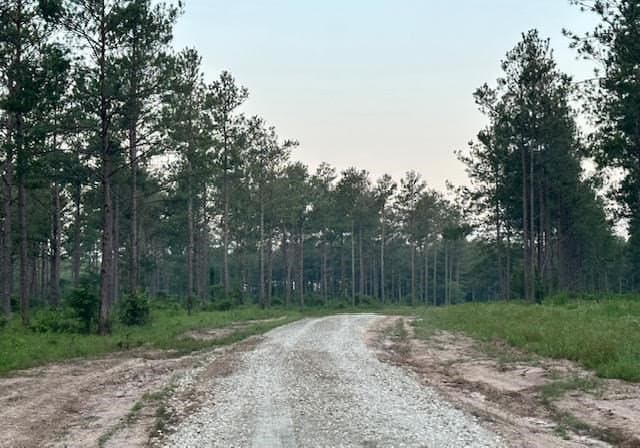 11.78 acres in Texas County - photo 4