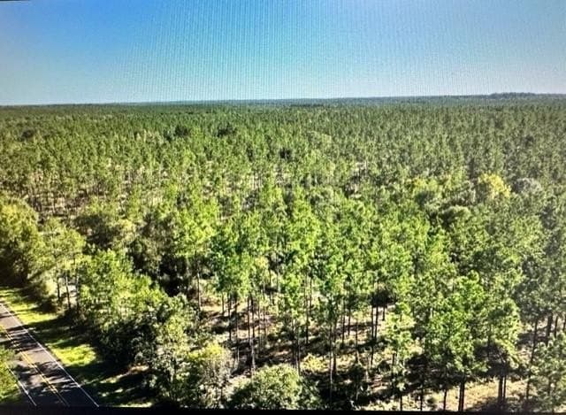 11.78 acres in Texas County - photo 11