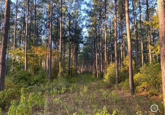 11.78 acres in Texas County - photo 2