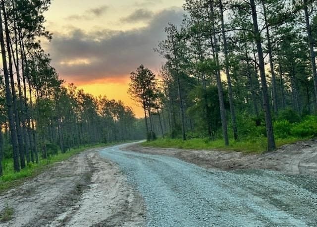 11.78 acres in Texas County - photo 5