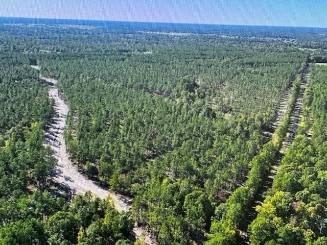 11.78 acres in Texas County - photo 9