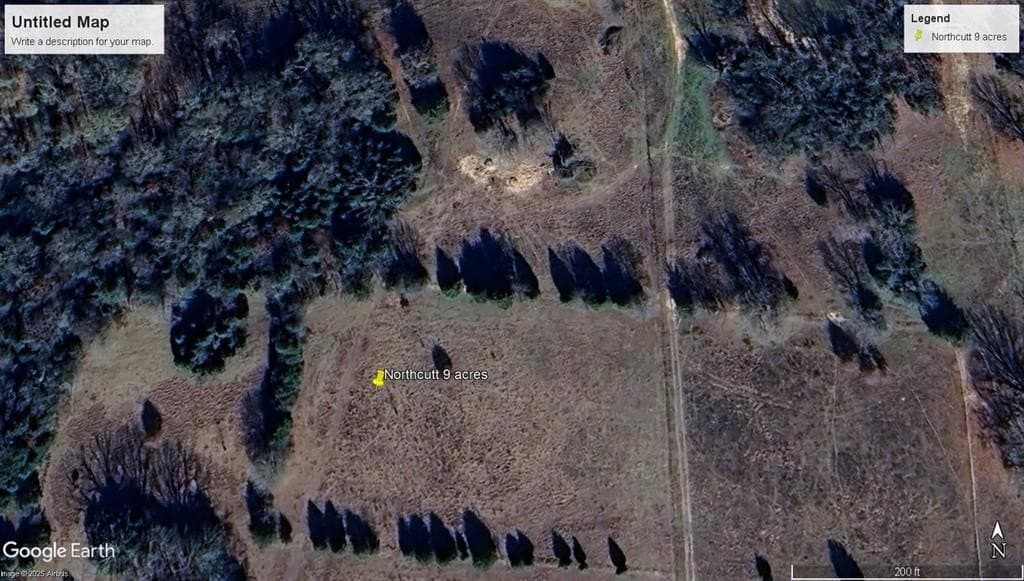 9 acres in Rains County - photo 3