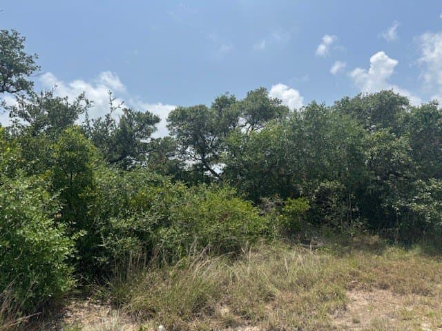 1.46 acres in San Patricio County - photo 3