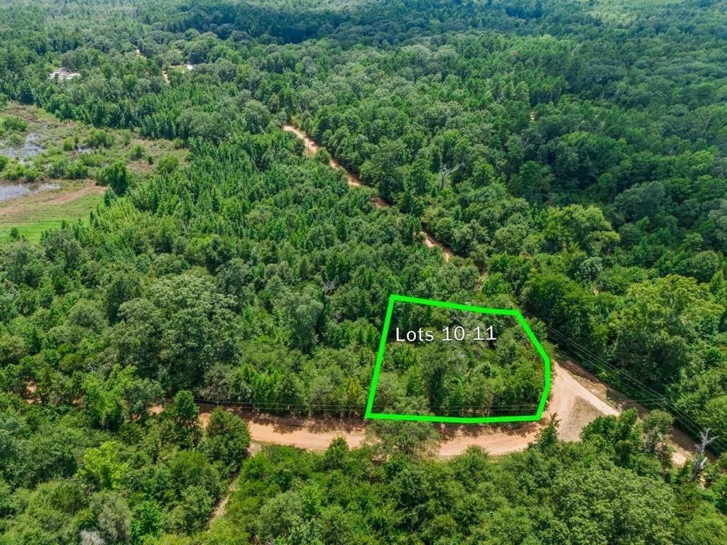 0.32 acres in Wood County - photo 2