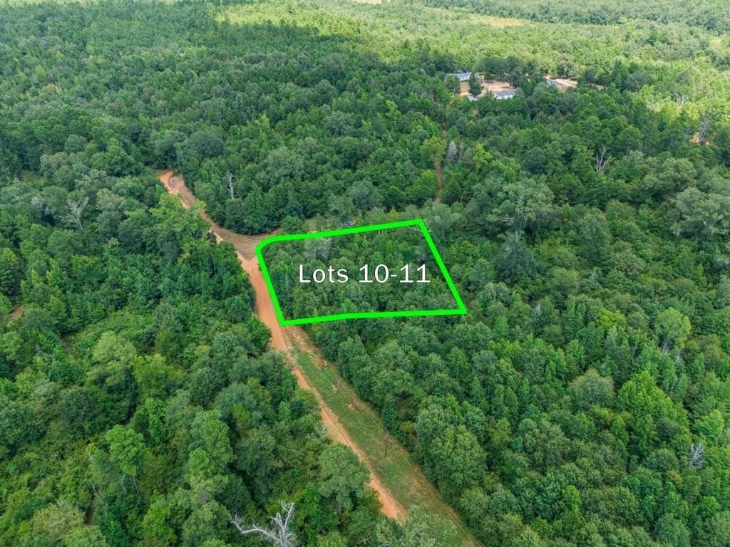 0.32 acres in Wood County - photo 4