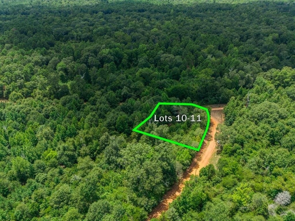 0.32 acres in Wood County - photo 3