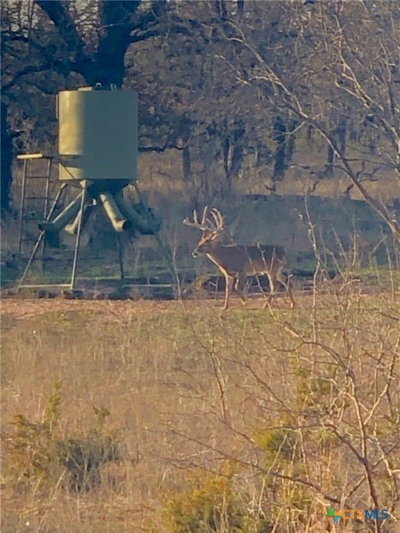 285.9 acres in Coryell County - photo 35