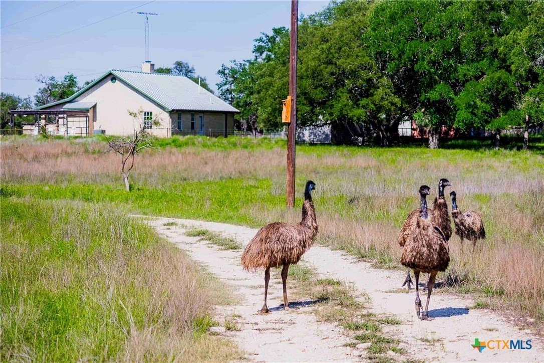 285.9 acres in Coryell County - photo 11