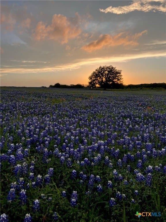 285.9 acres in Coryell County - photo 38