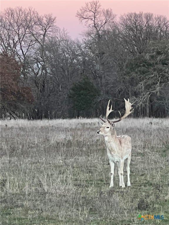 285.9 acres in Coryell County - photo 34