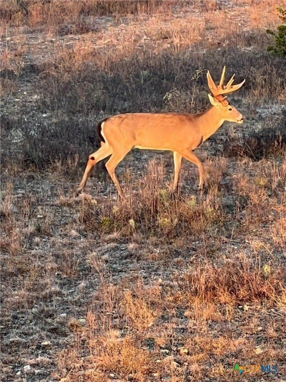 285.9 acres in Coryell County - photo 27