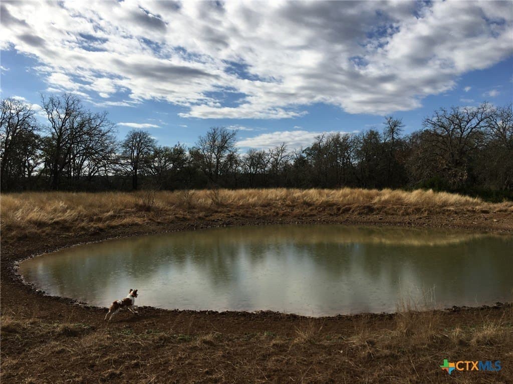 285.9 acres in Coryell County - photo 25