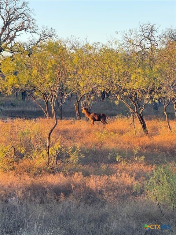 285.9 acres in Coryell County - photo 33