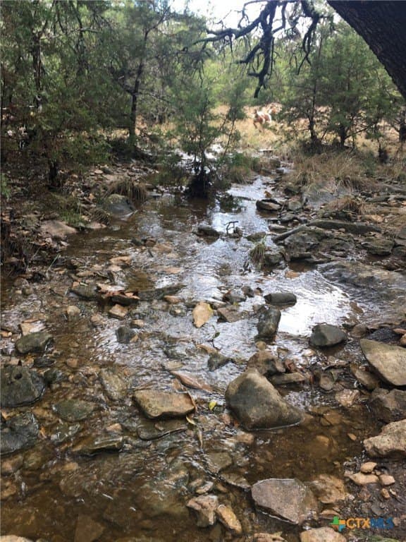 285.9 acres in Coryell County - photo 8