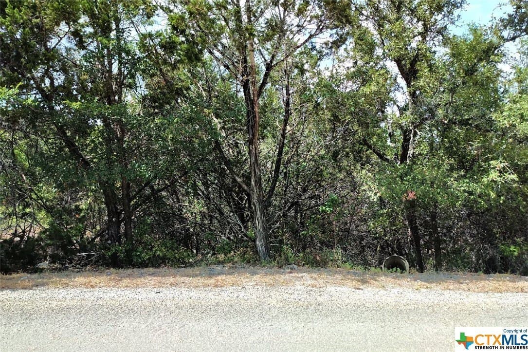 0.5 acres in Comal County - photo 2