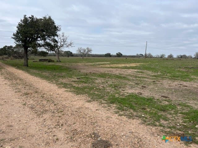 246.13 acres in DeWitt County - photo 2