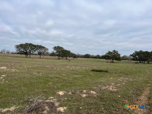 246.13 acres in DeWitt County - photo 7