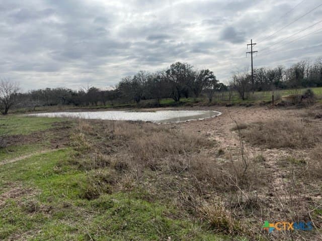 246.13 acres in DeWitt County - photo 4