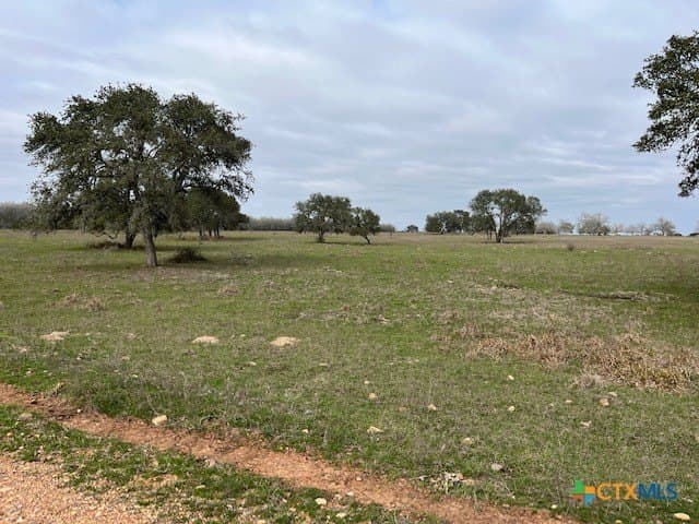 246.13 acres in DeWitt County - photo 5