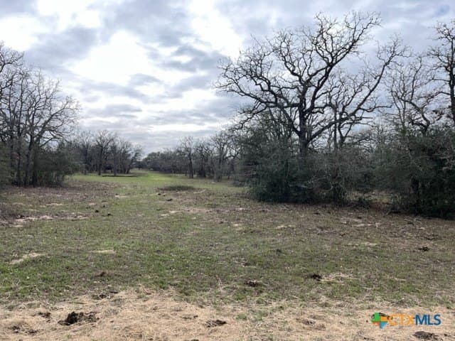 246.13 acres in DeWitt County - photo 6