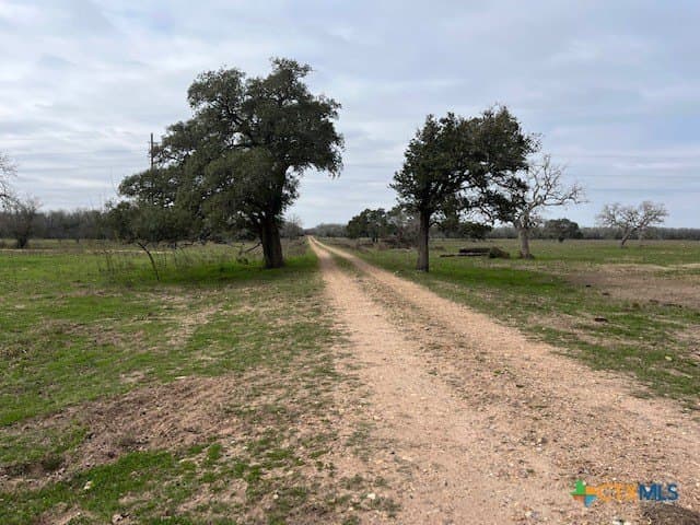 246.13 acres in DeWitt County - photo 3