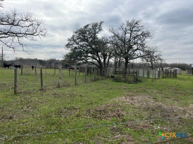 246.13 acres in DeWitt County - photo 8