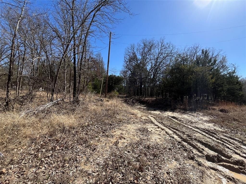 0.49 acres in Hunt County - photo 7