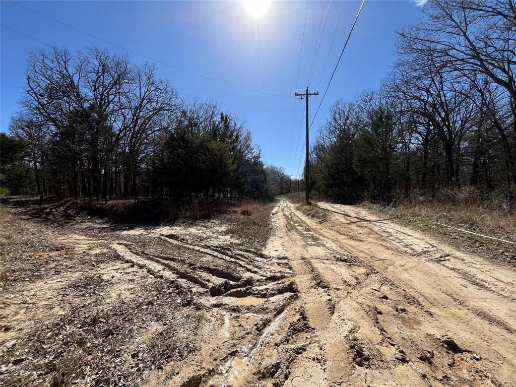 0.49 acres in Hunt County - photo 8