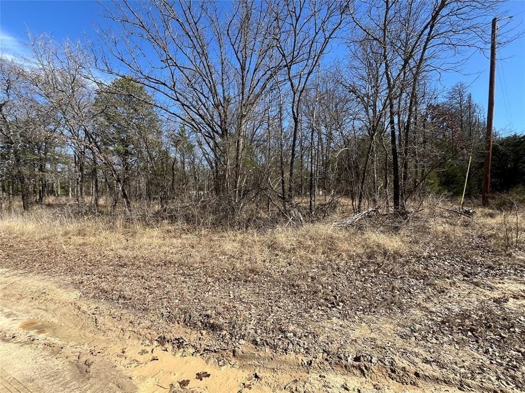 0.49 acres in Hunt County - photo 3
