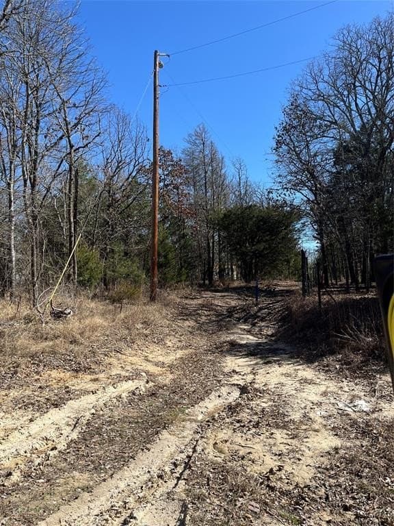 0.49 acres in Hunt County - photo 10