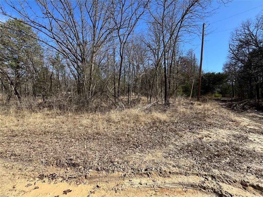 0.49 acres in Hunt County - photo 2