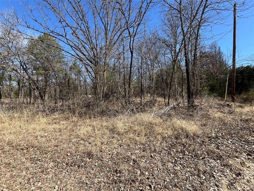 0.49 acres in Hunt County - photo 5