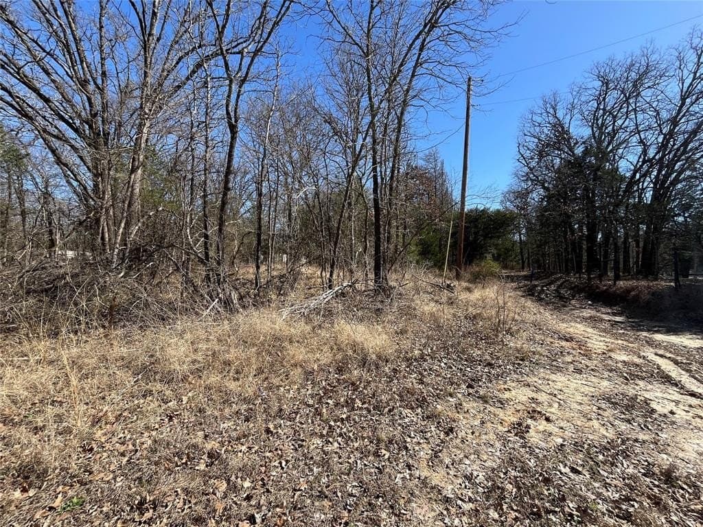0.49 acres in Hunt County - photo 6
